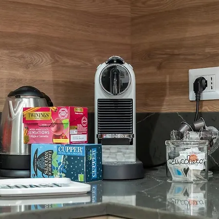 Vatican's Lion Apartament *